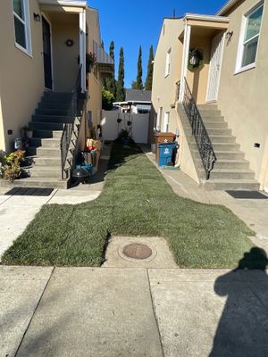 Project in Martinez