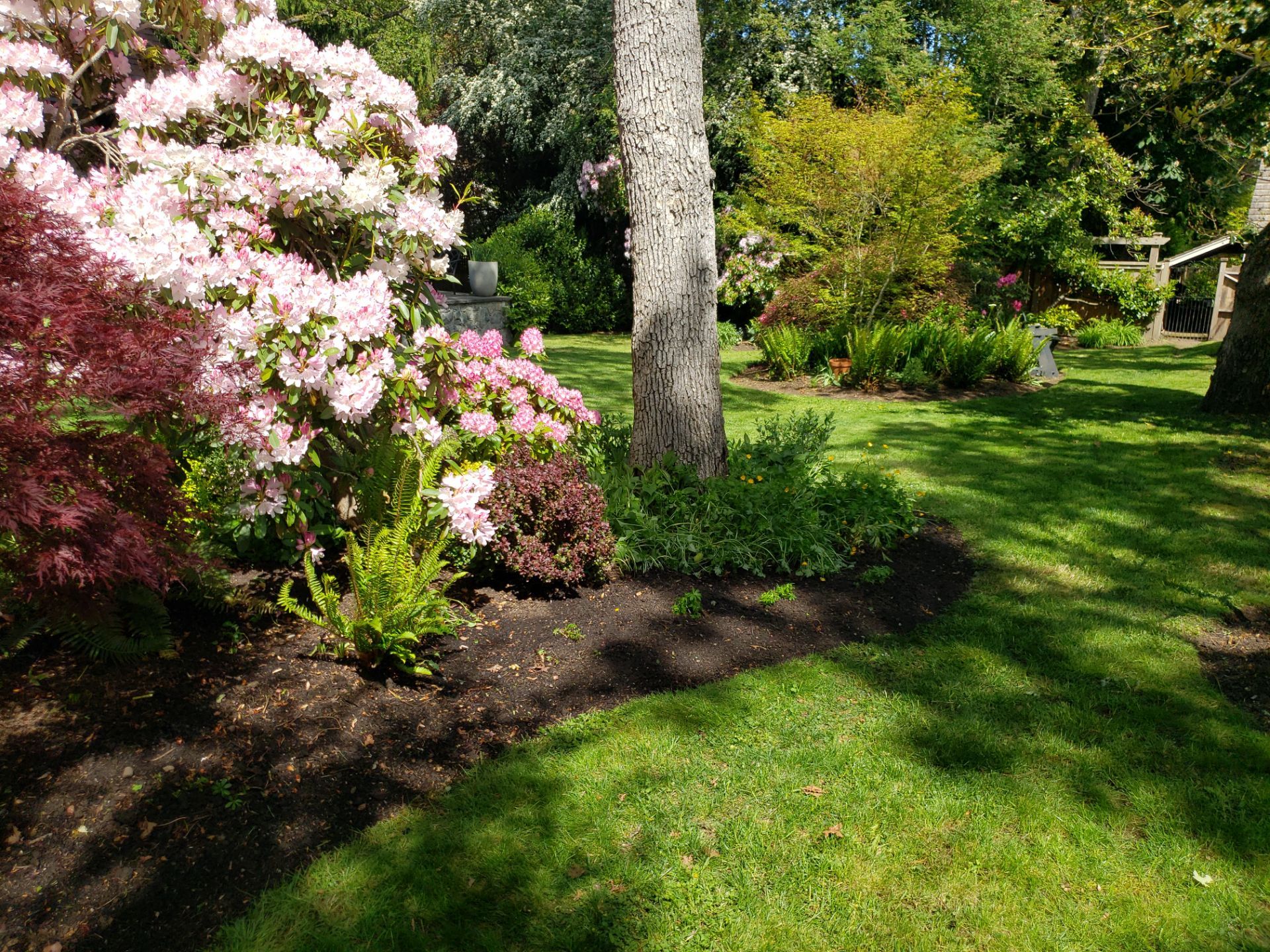 Residence in Rockland by Habanero Garden and Exterior Care