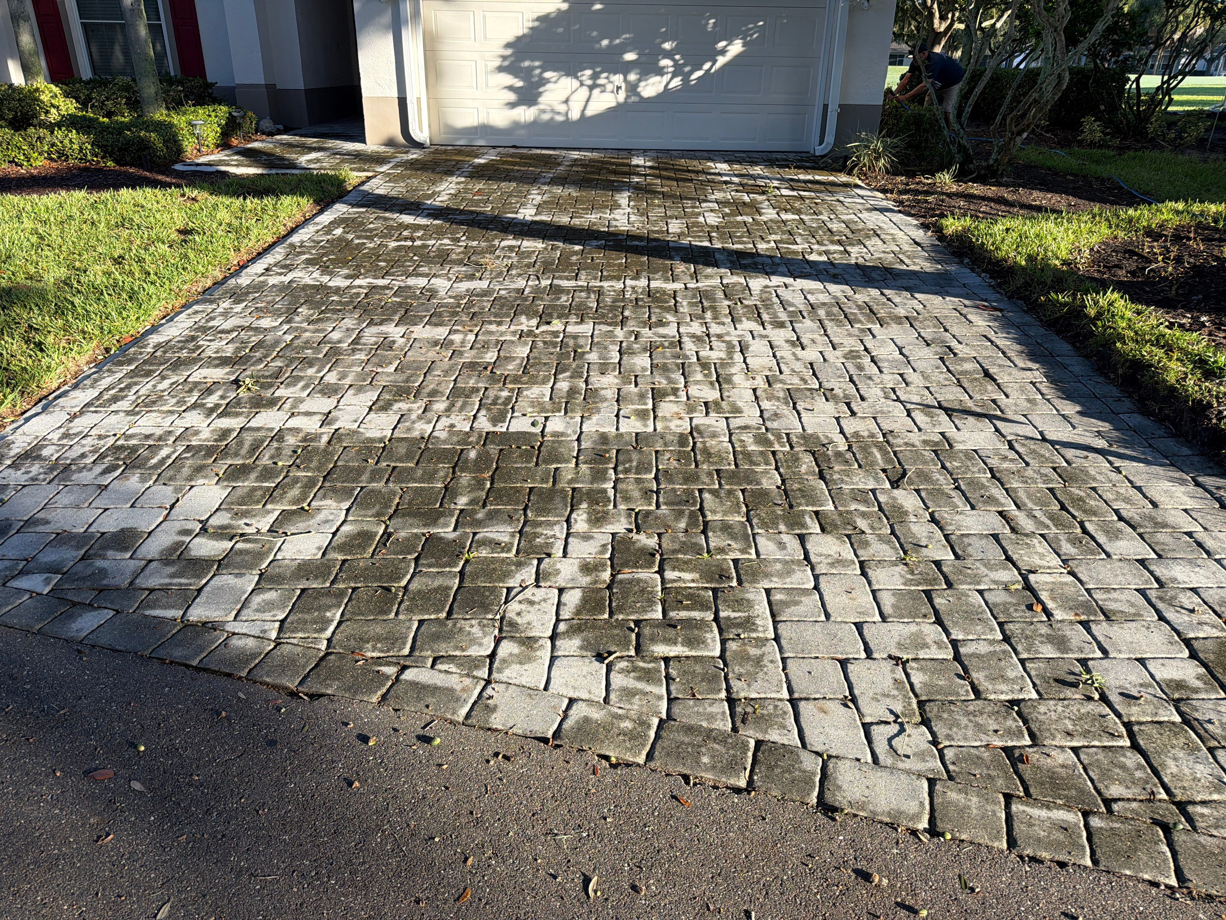 Paver Driveway and Walkway Restoration in Sun City Center by Supreme Paver Experts