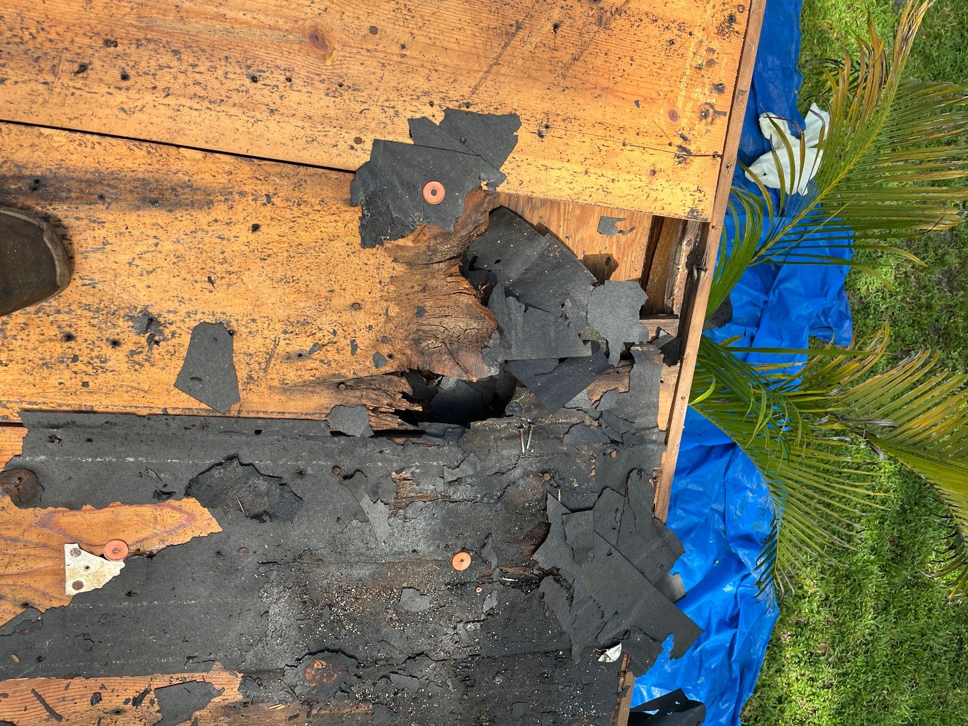 Project in St. Petersburg 33709 by Mitchell Roofing Company LLC 