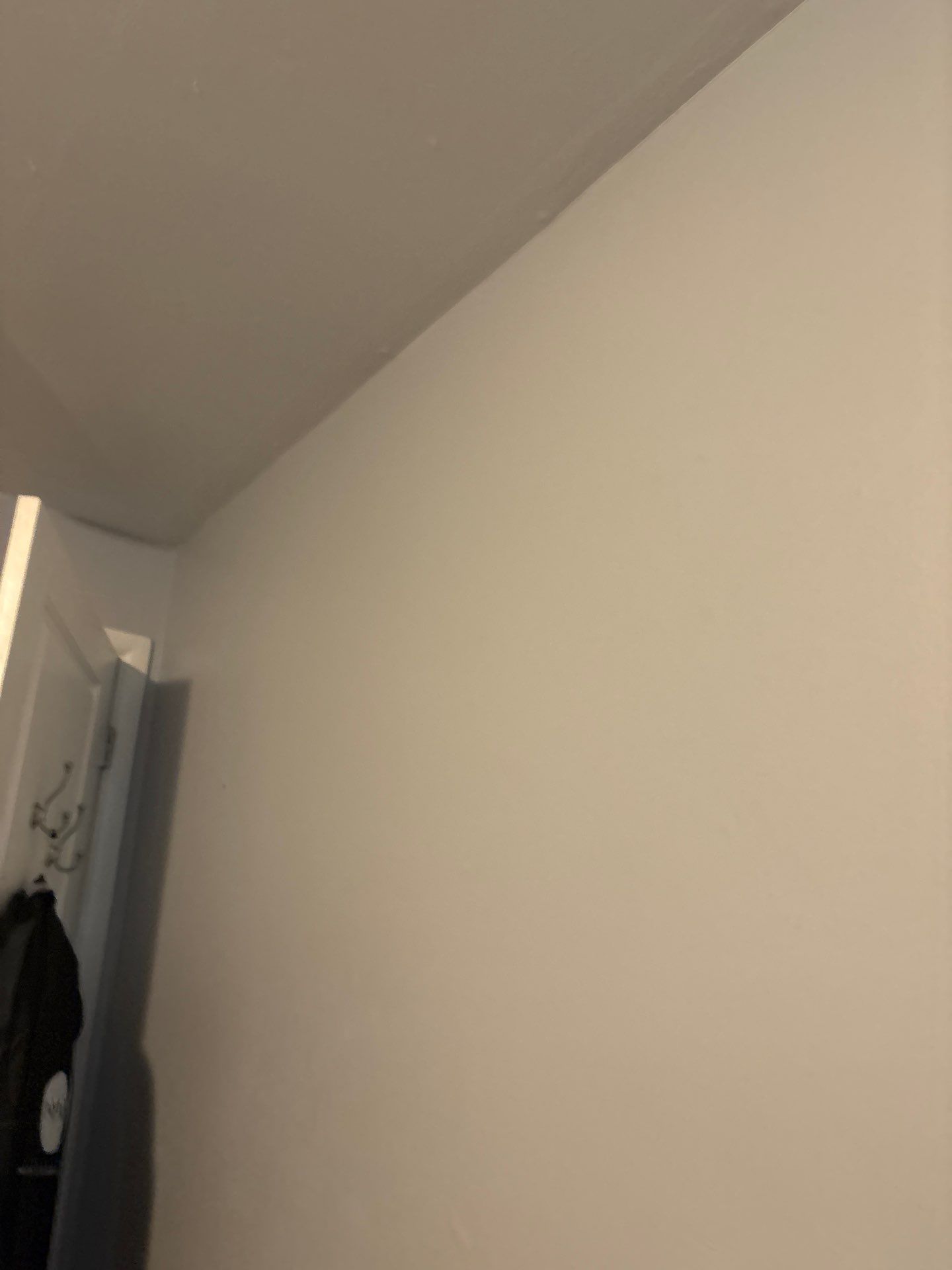 Interior Wall Refresh and Ceiling Fixture Installation in Denver by CompanyCam Sales Demo