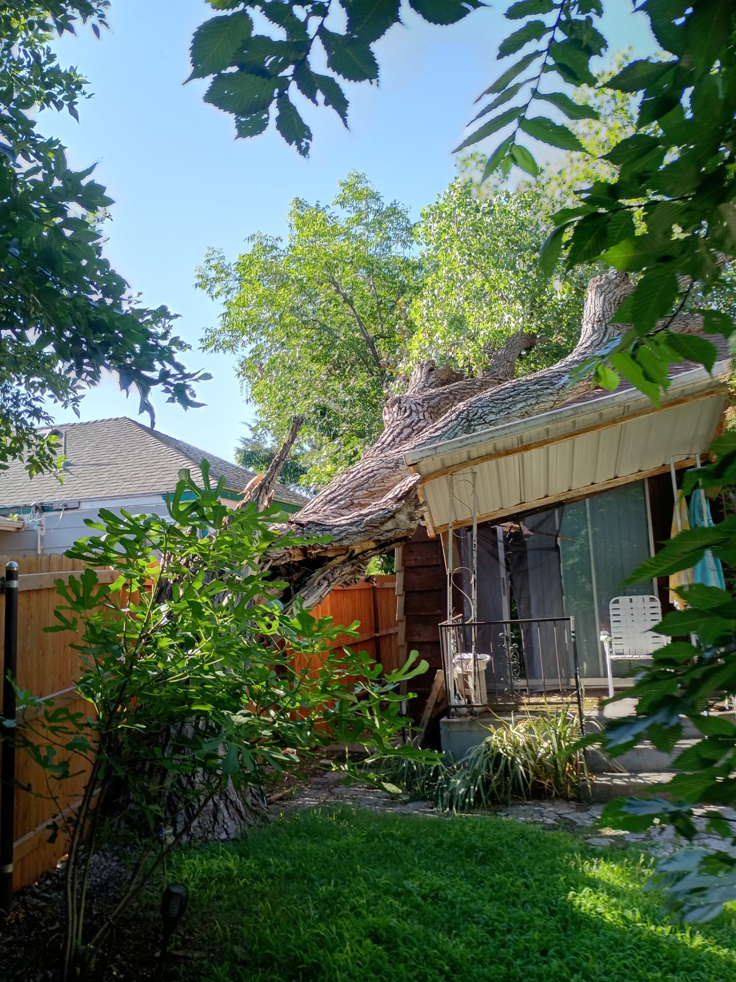 Dangerous Tree Tree Removal  by Clays Services Inc