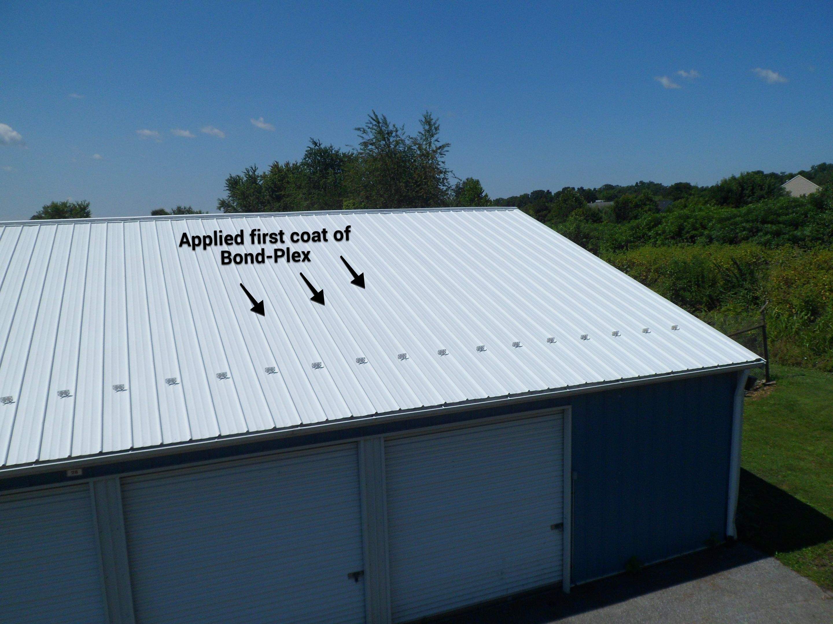 Exterior Painting by Alpha Design Services