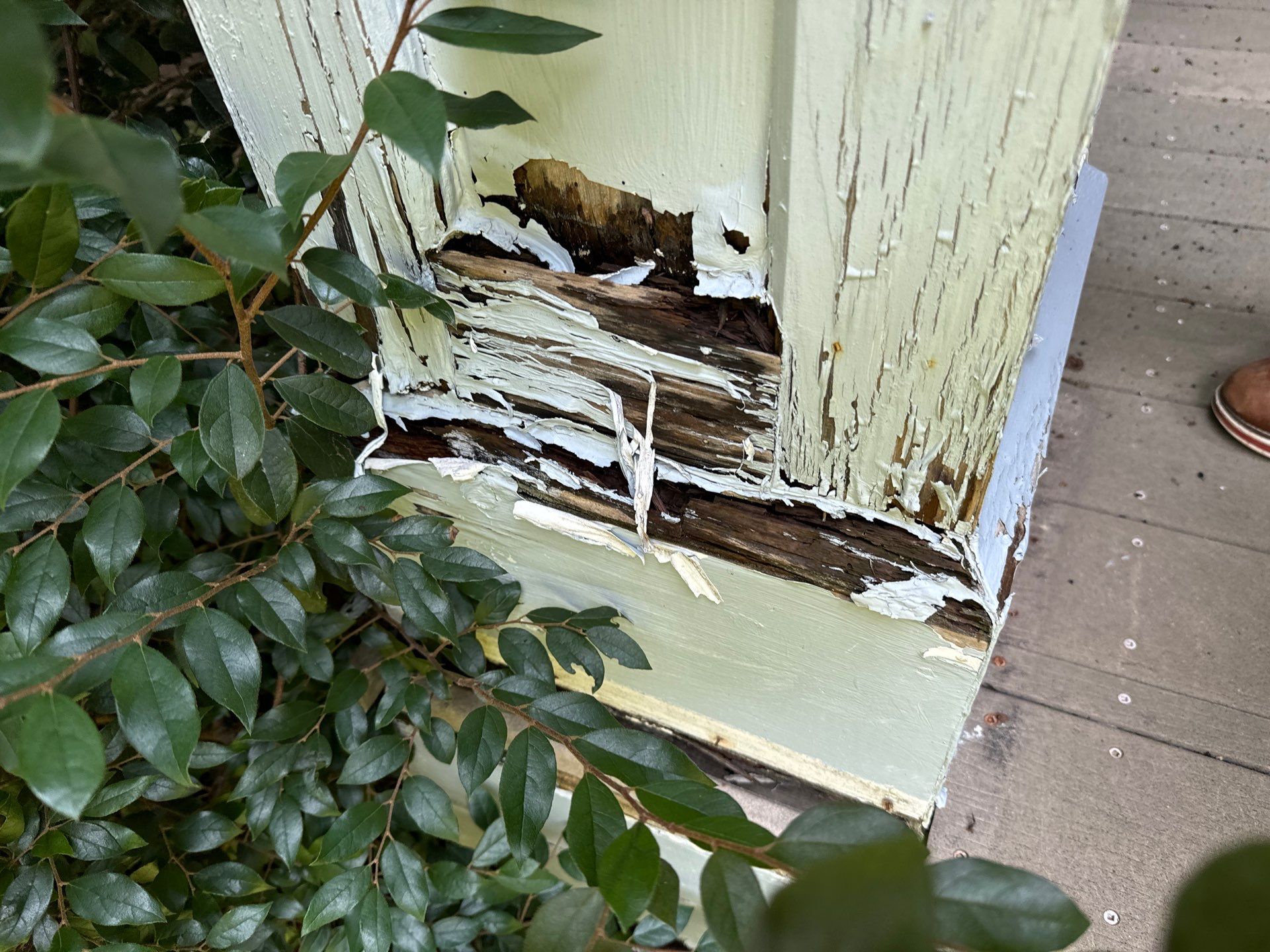 Carpentry and Full exterior paint by GonzalezPainters & Contractors Inc 