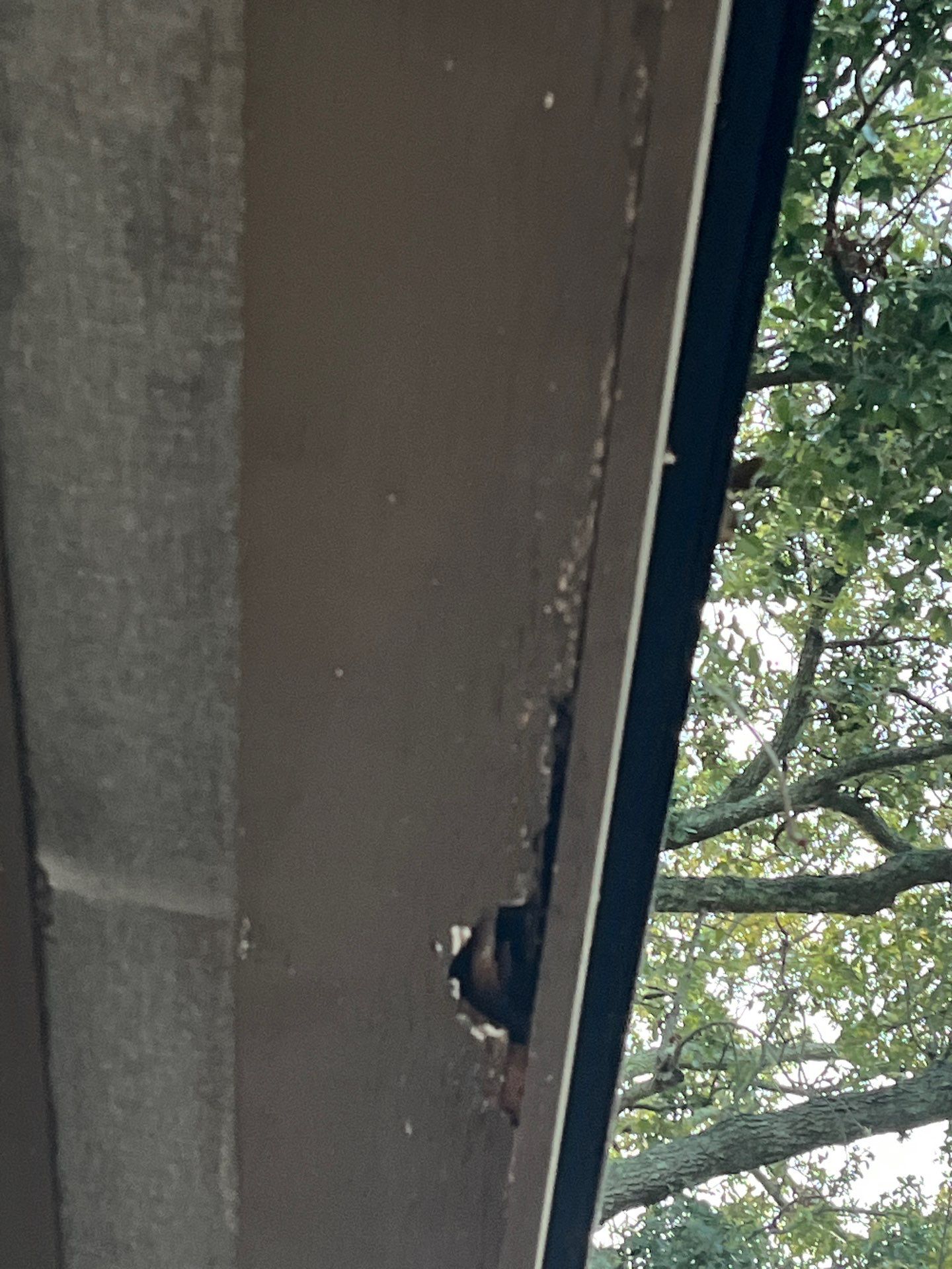 Project in Oldsmar 34677 by Mitchell Roofing Company LLC
