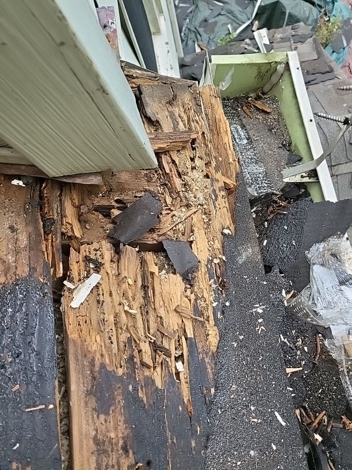 ATLAS PINNACLE COLOR: HEARTHSTONE DRIP EDGE: WHITE by Eagle Eye Roofing