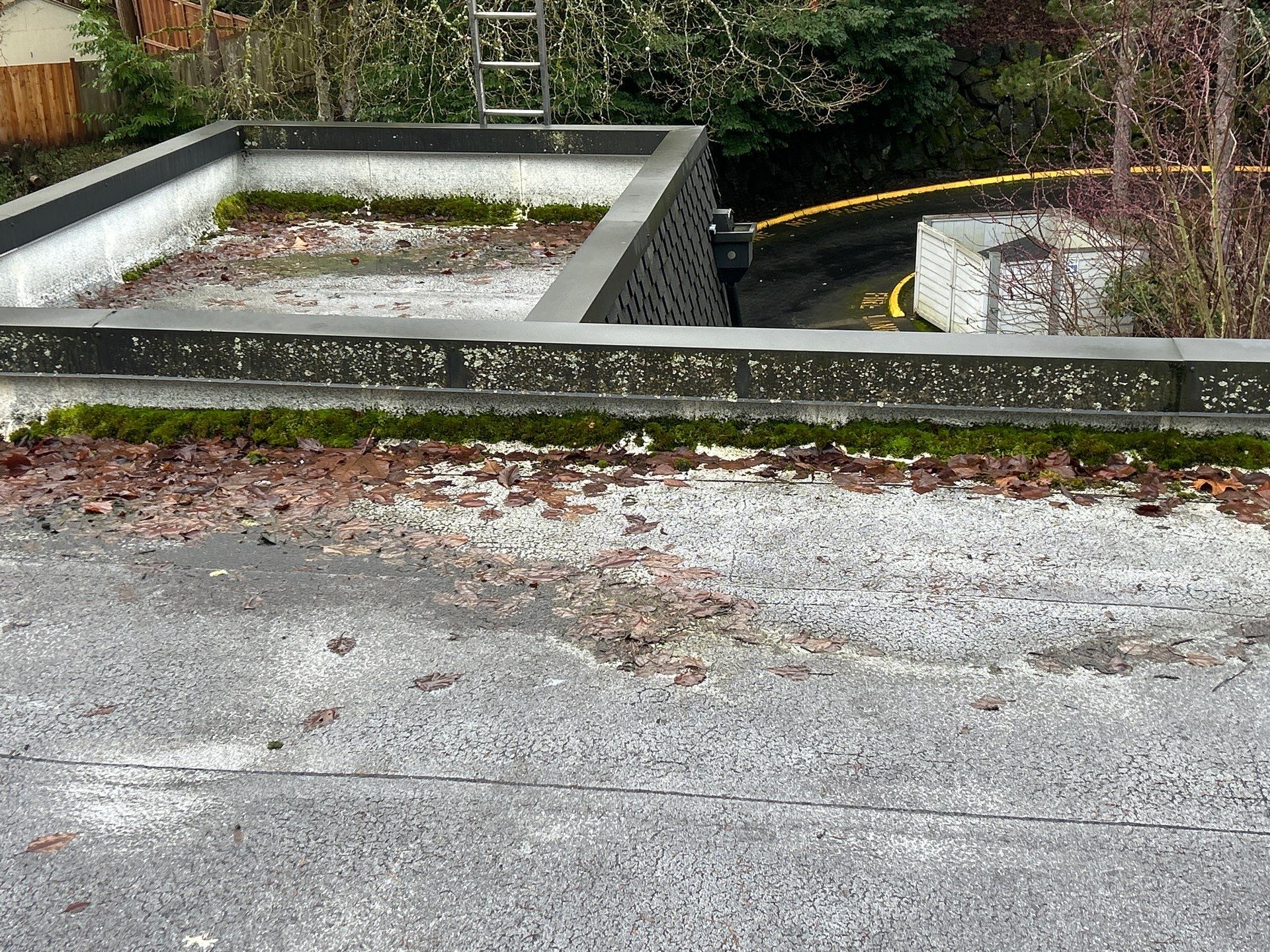 Project in Kirkland by Peaks and Valleys Construction