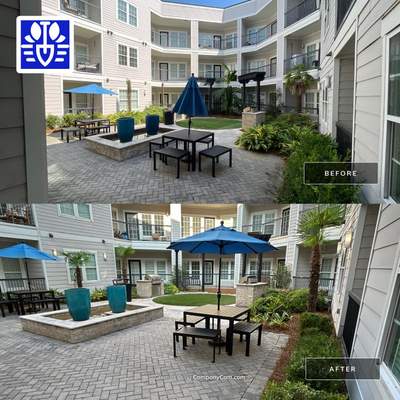 COMMERCIAL LAWN MAINTENANCE: HEDGE TRIM / BED CLEAN using HEDGE TRIM LABOR