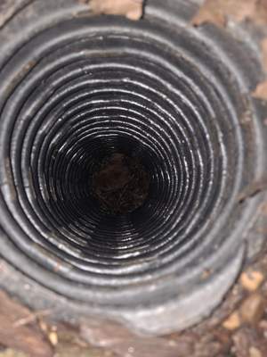 Window Well Drain Cleanout