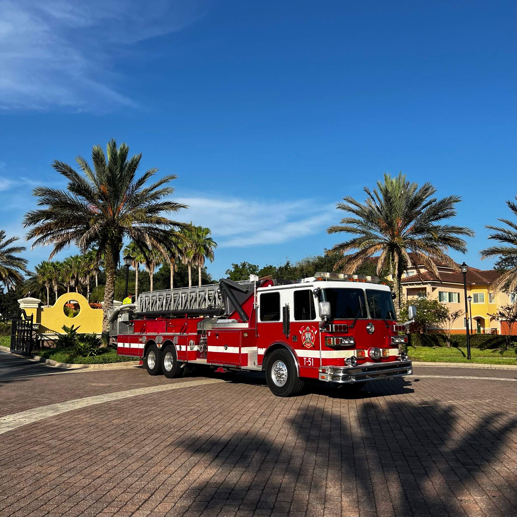 Palm Tree Trimming | IL Villagio Condominiums by ProGreen Services