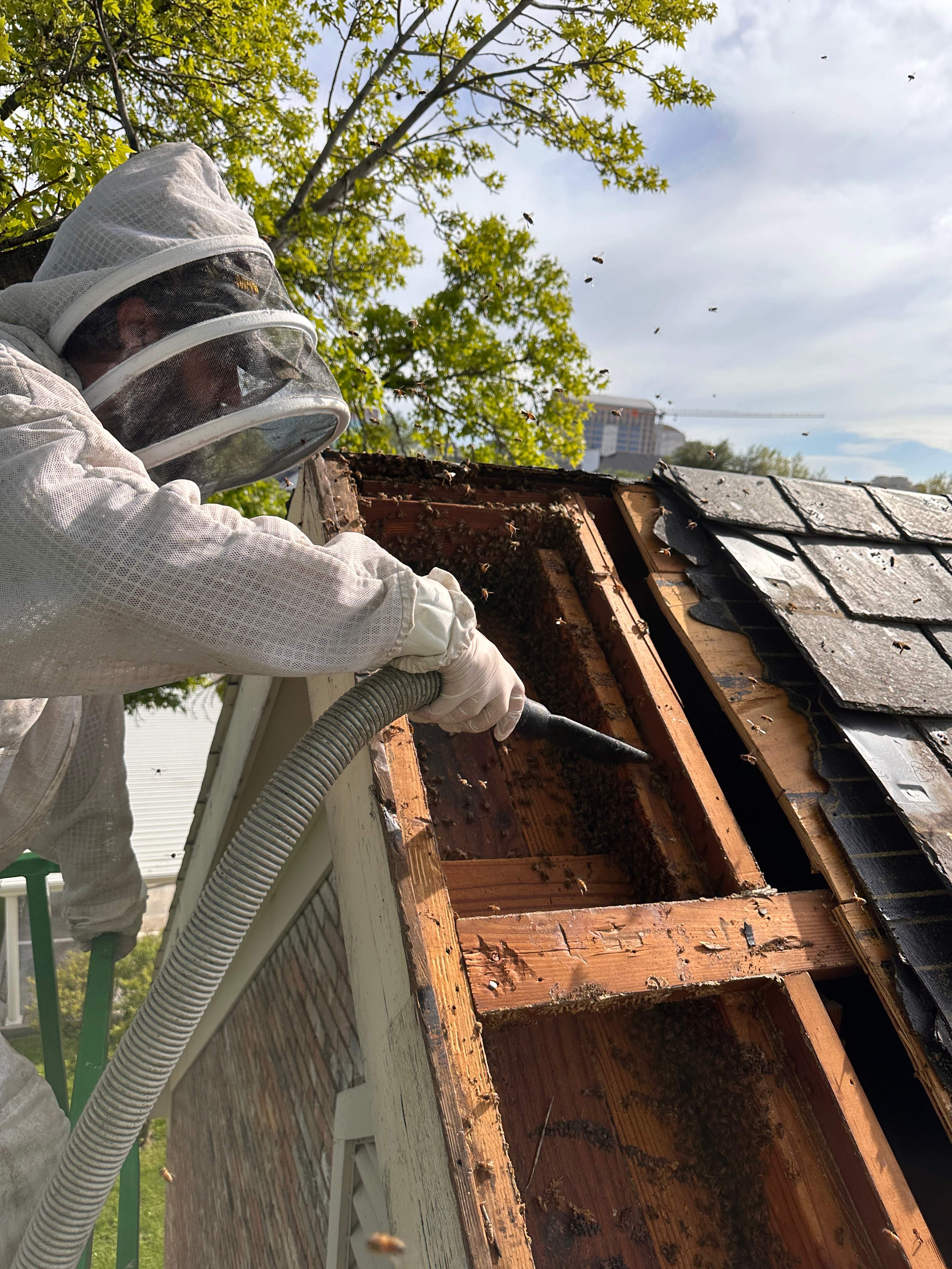 Commercial Roof by Rockwall Honey Bee Company