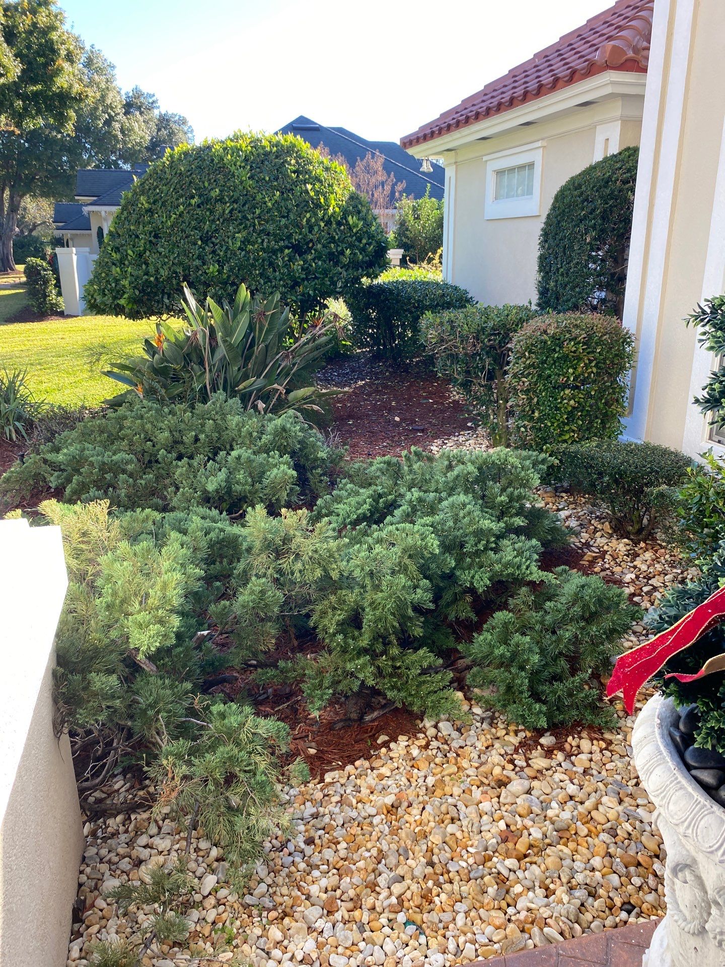 Deerwood Resident | Palm Trimming & Ground Cover by ProGreen Services