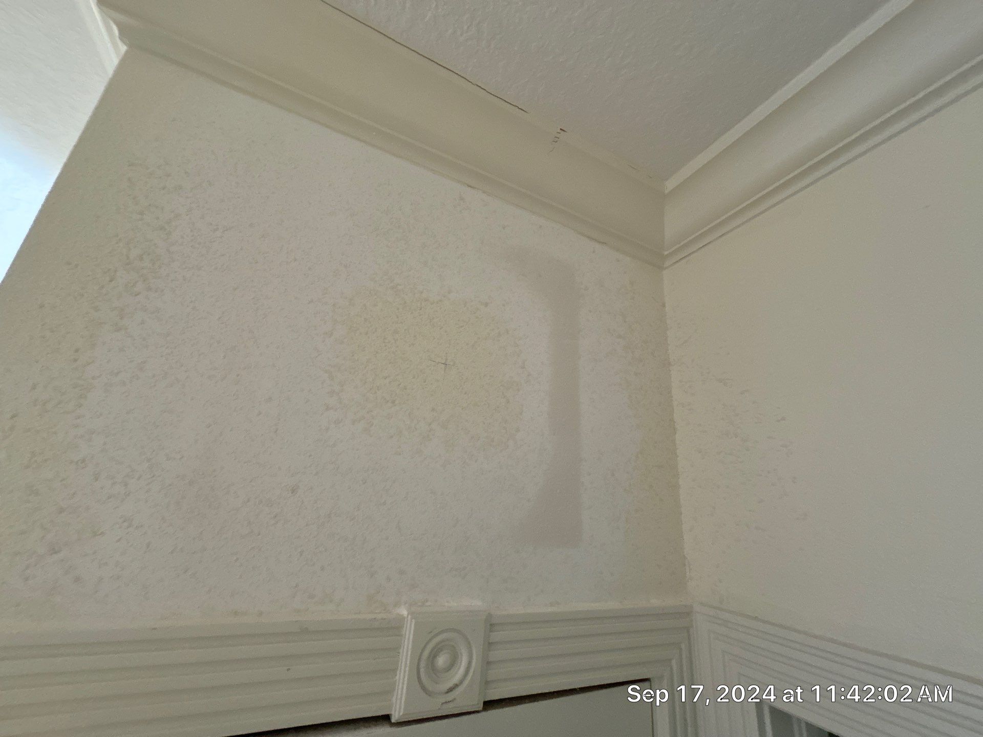 Holmes Beach AC Mold Deep Cleaning by Ampm Restoration Services