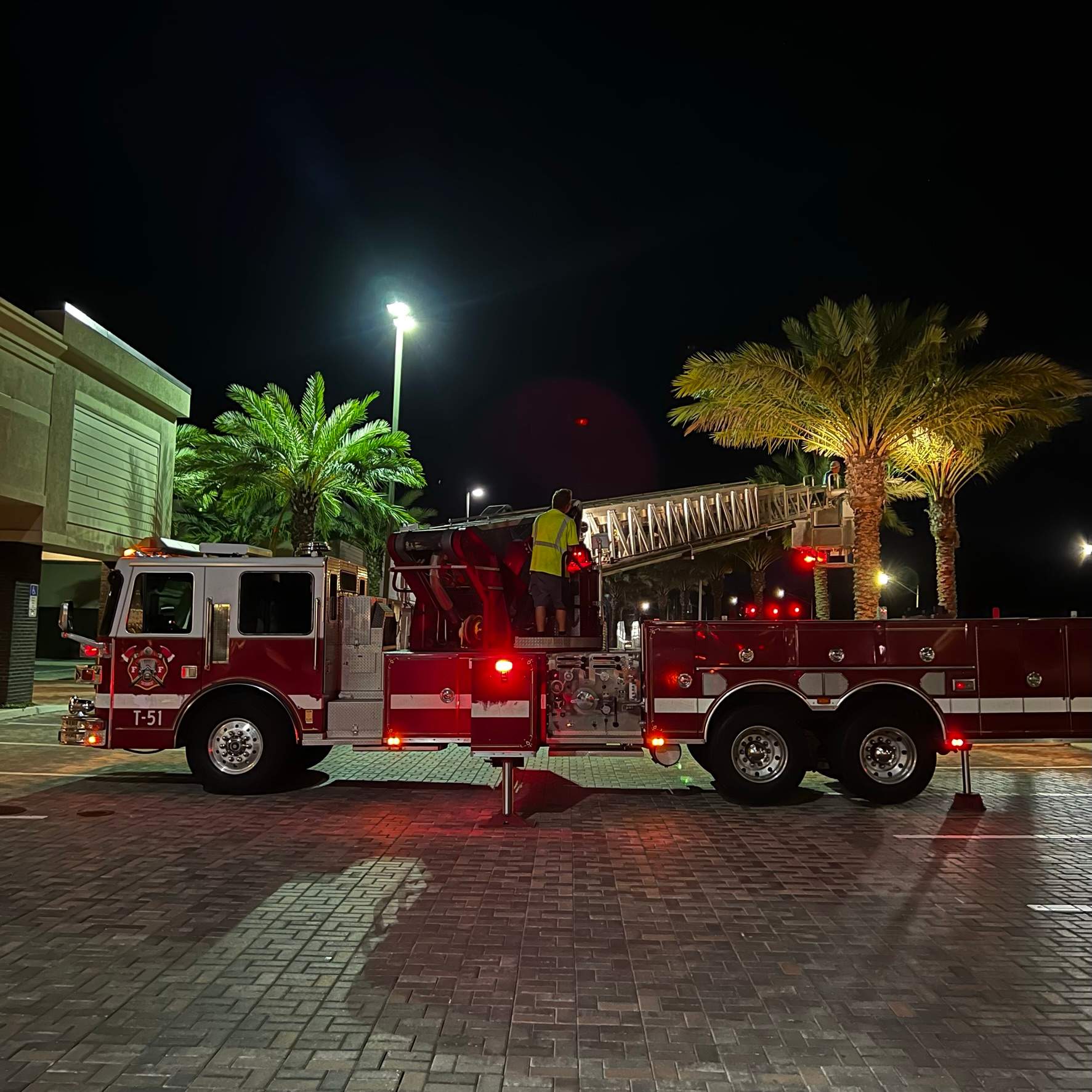 Tree Trimming | Roosevelt Square by ProGreen Services
