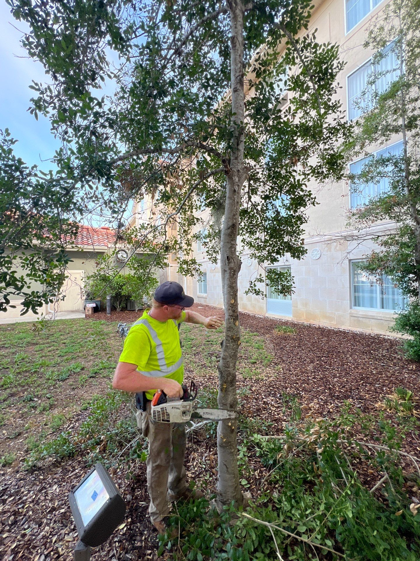 Homewood Suites | Tree Service by ProGreen Services