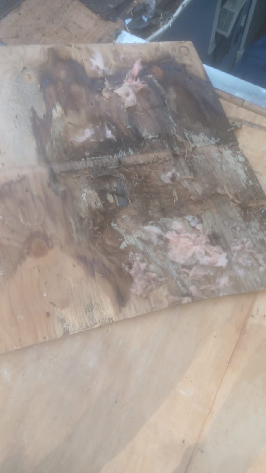 Roof Replacement - Storm Damage by Winchester Roofing