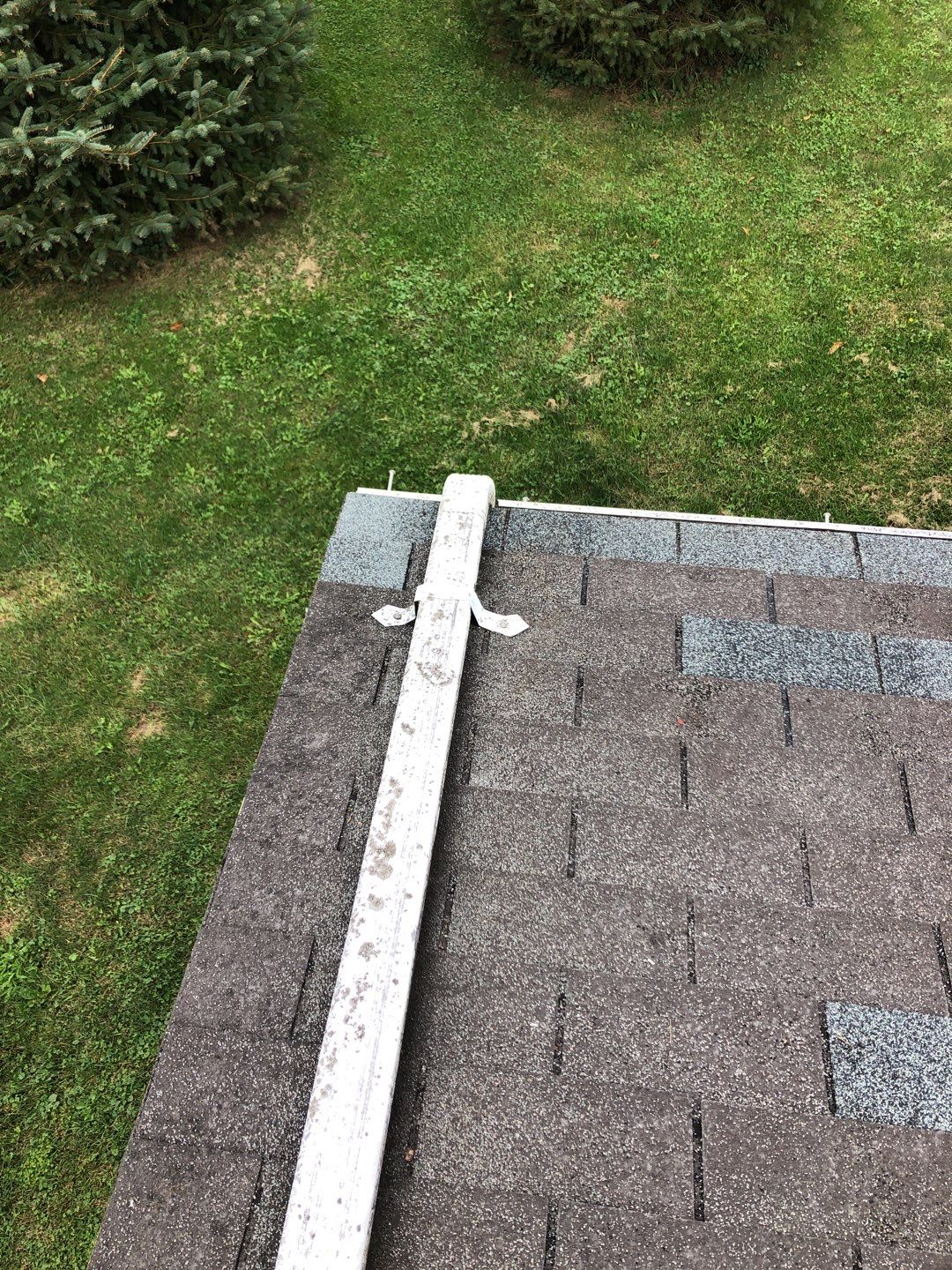 Jamie Tripp by Silver Leaf Contracting 