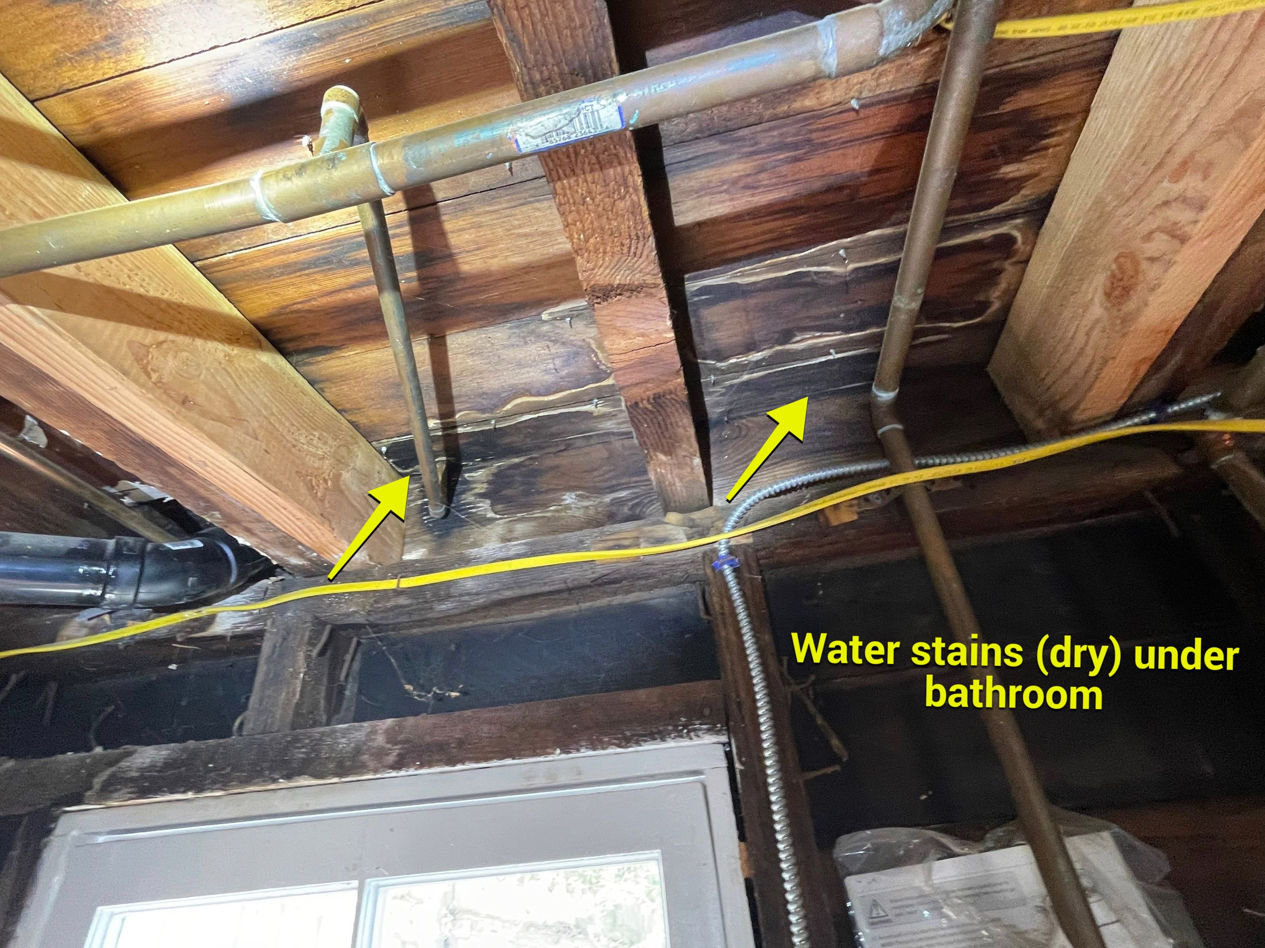 Wood Destroying Organisms Report by GLOBAL Termite Solutions