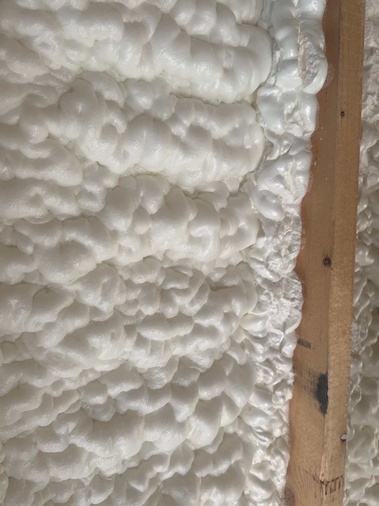 Diamante Property Services LLC featured photo.