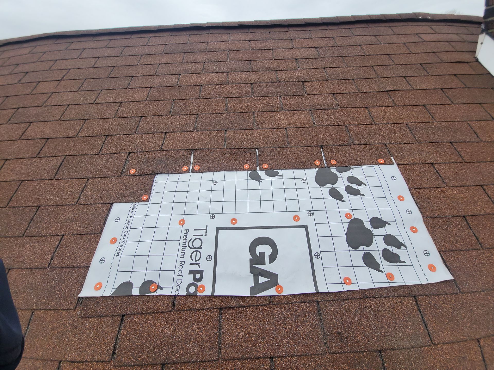 Atlas Pinnacle, Color, Weathered Wood, Drip Edge, Color, Royal Brown by Eagle Eye Roofing