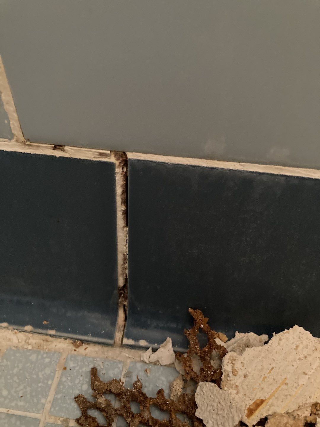 Water Damage Repair by Accountable Home Services