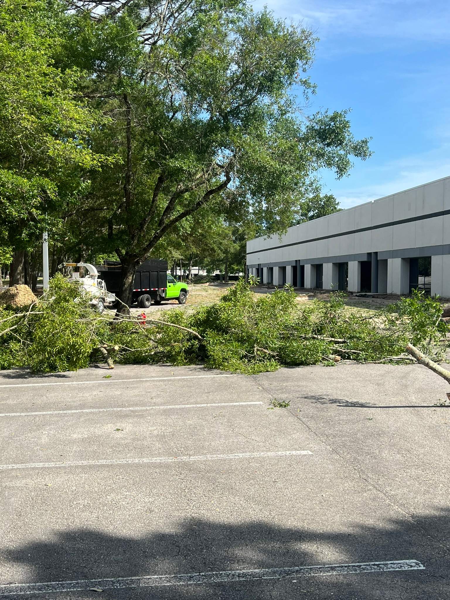 Tree Work | Center Point Business Complex by ProGreen Services