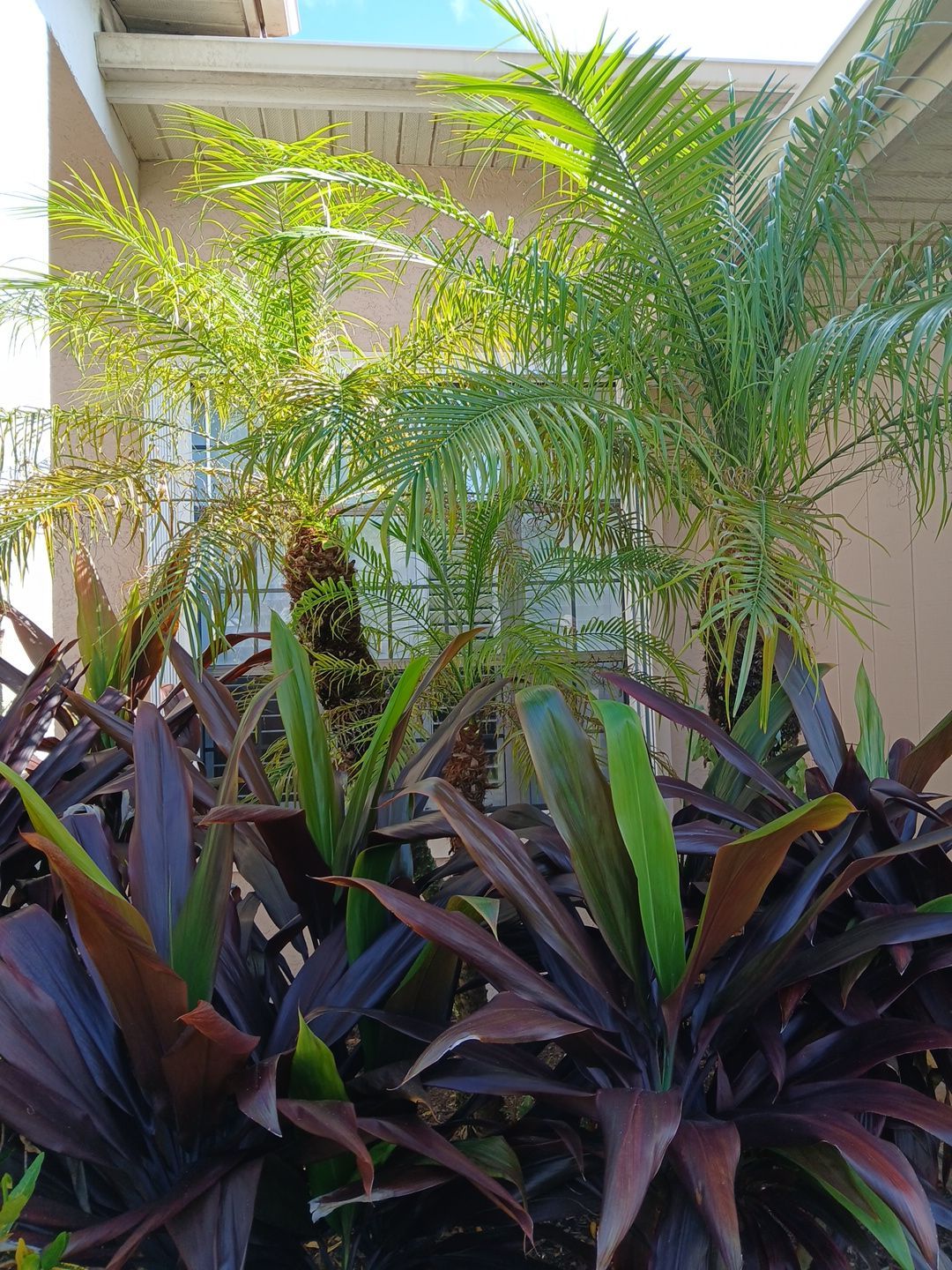 🌴✨ “Crane Creek Snip, Tip & Tune-Up” ✨🌴 by Alpha Zeta Enterprises Inc