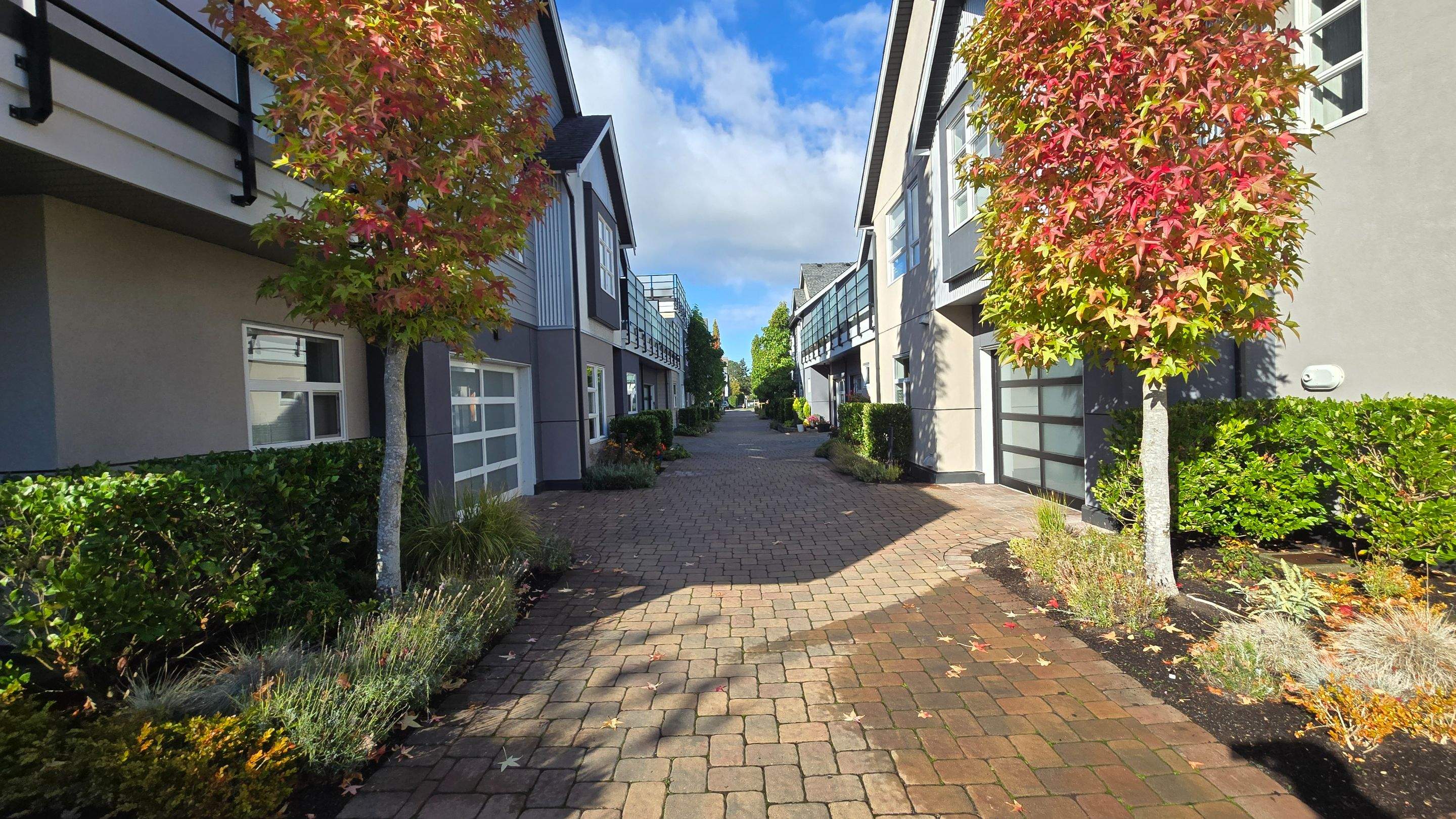 Sea Haven — Year-Round Strata Landscape Care by Habanero Landscape Solutions