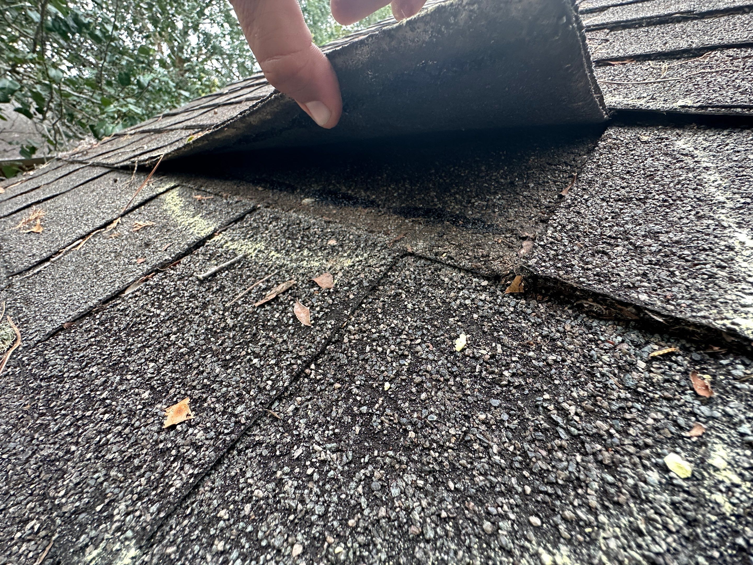 Roof Damage Claim in Pinetta by FLAPA & KeyStone