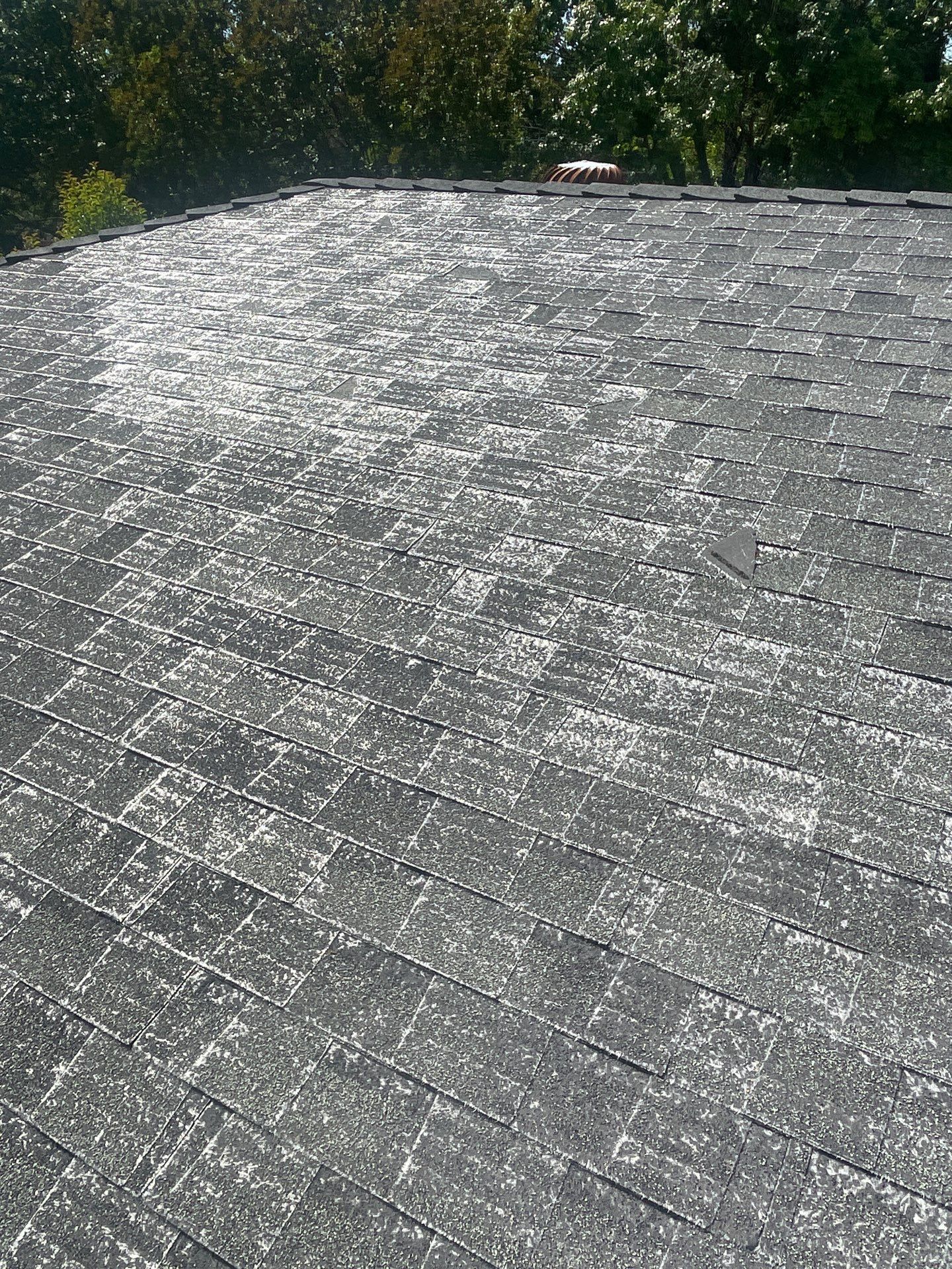 Roof Rejuvenation using Roof Maxx Treatment by Roof Maxx of Folsom