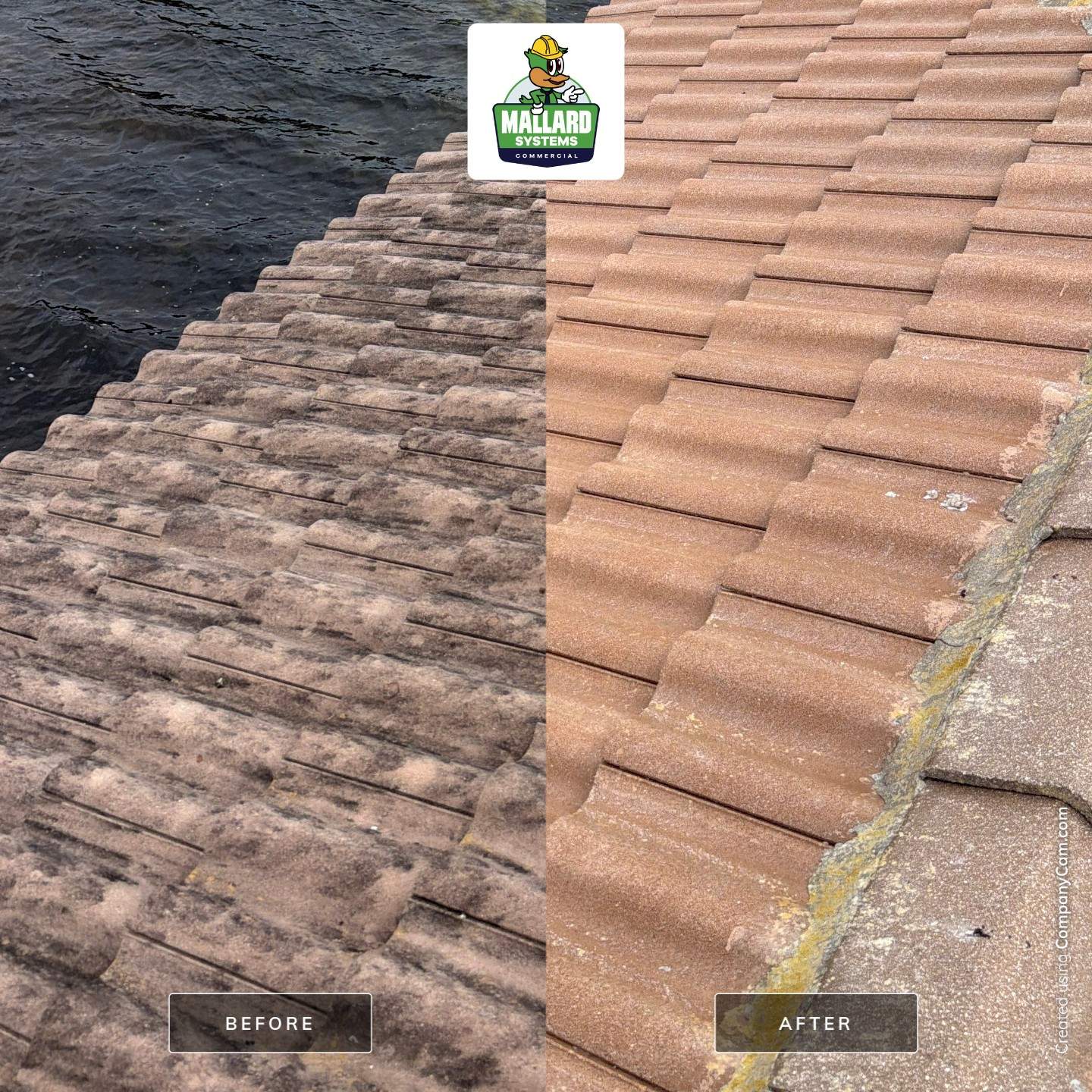 Tile Roof Cleaning and Maintenance in Oakland, Florida by Mallard Systems