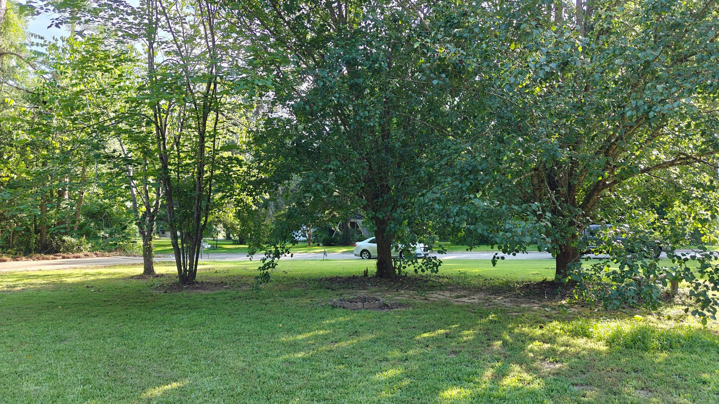 Bi Weekly Landscaping/ Weeding  by College Bros Outdoor services