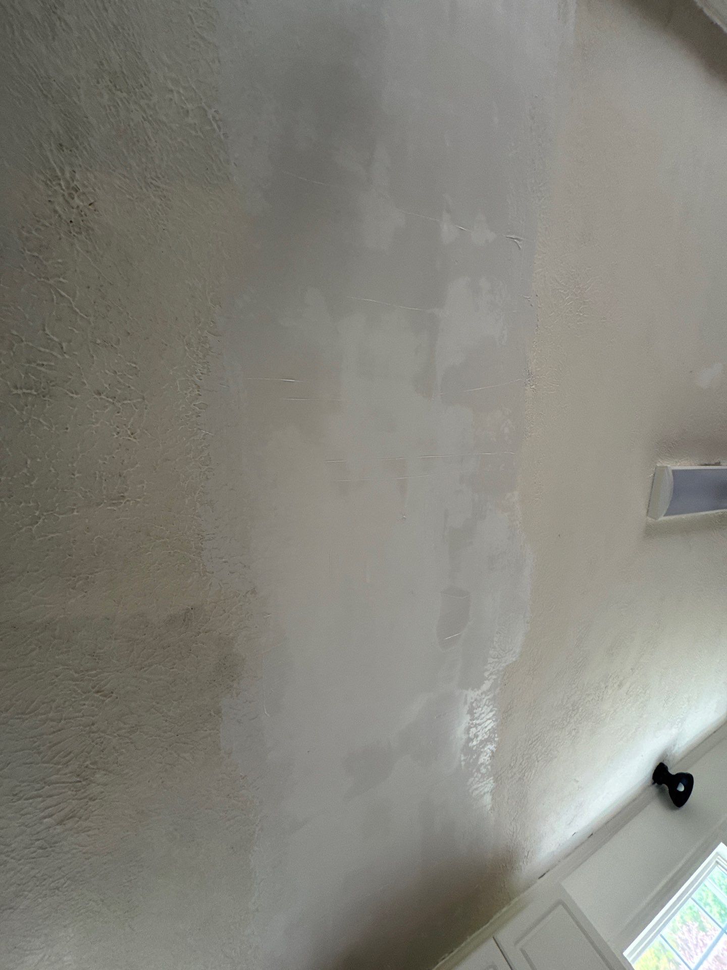 Ceiling Mold Removal by Home Disaster Medics