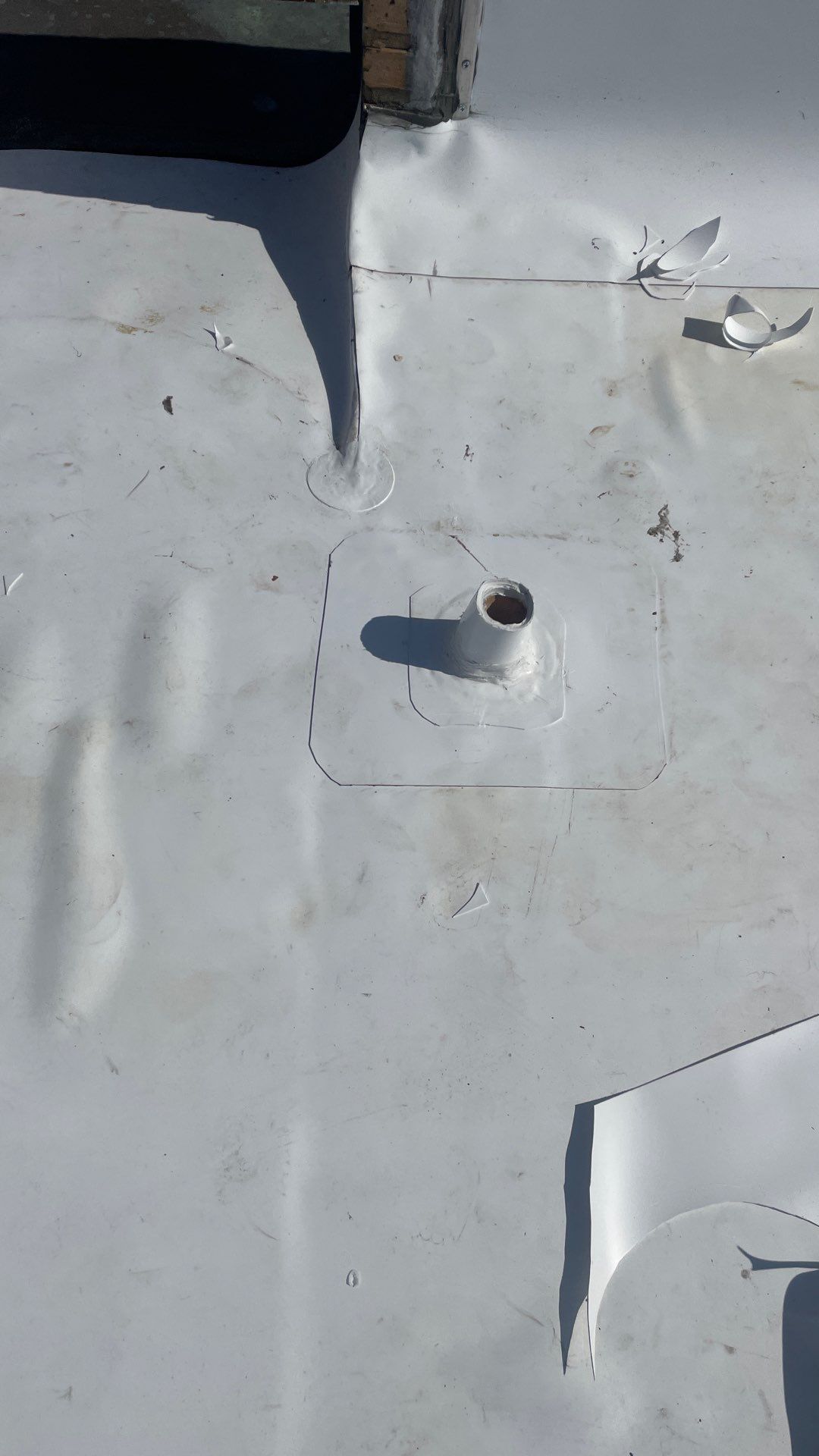 Problems in Paradise  by Bayfront Roofing and Construction