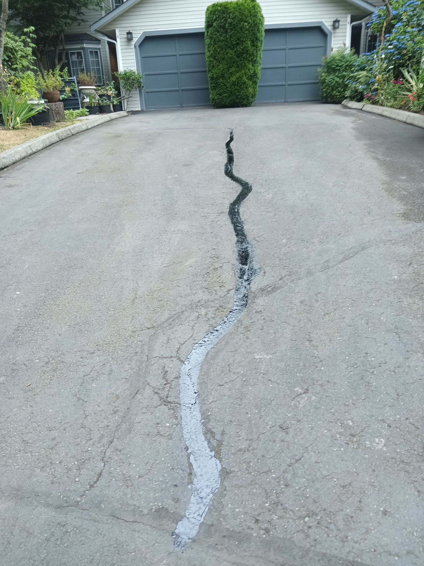 Curb Repaint | Seattle  by Jireh Asphalt & Concrete Inc 