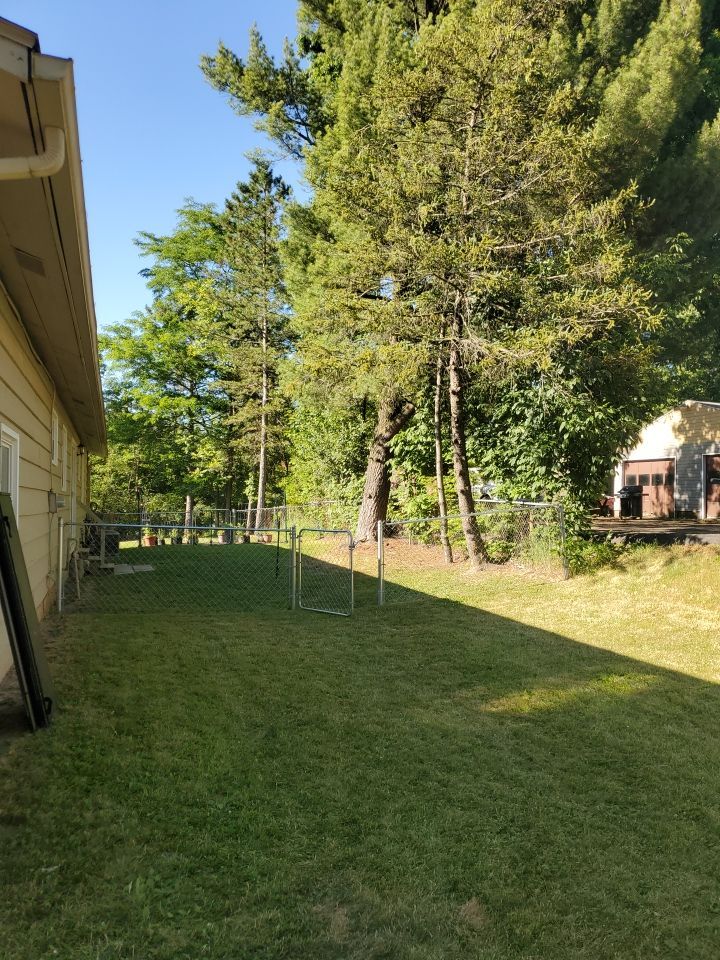 Tree Removal using Tree Removal by Mike Jones & Sons Tree Service LLC 