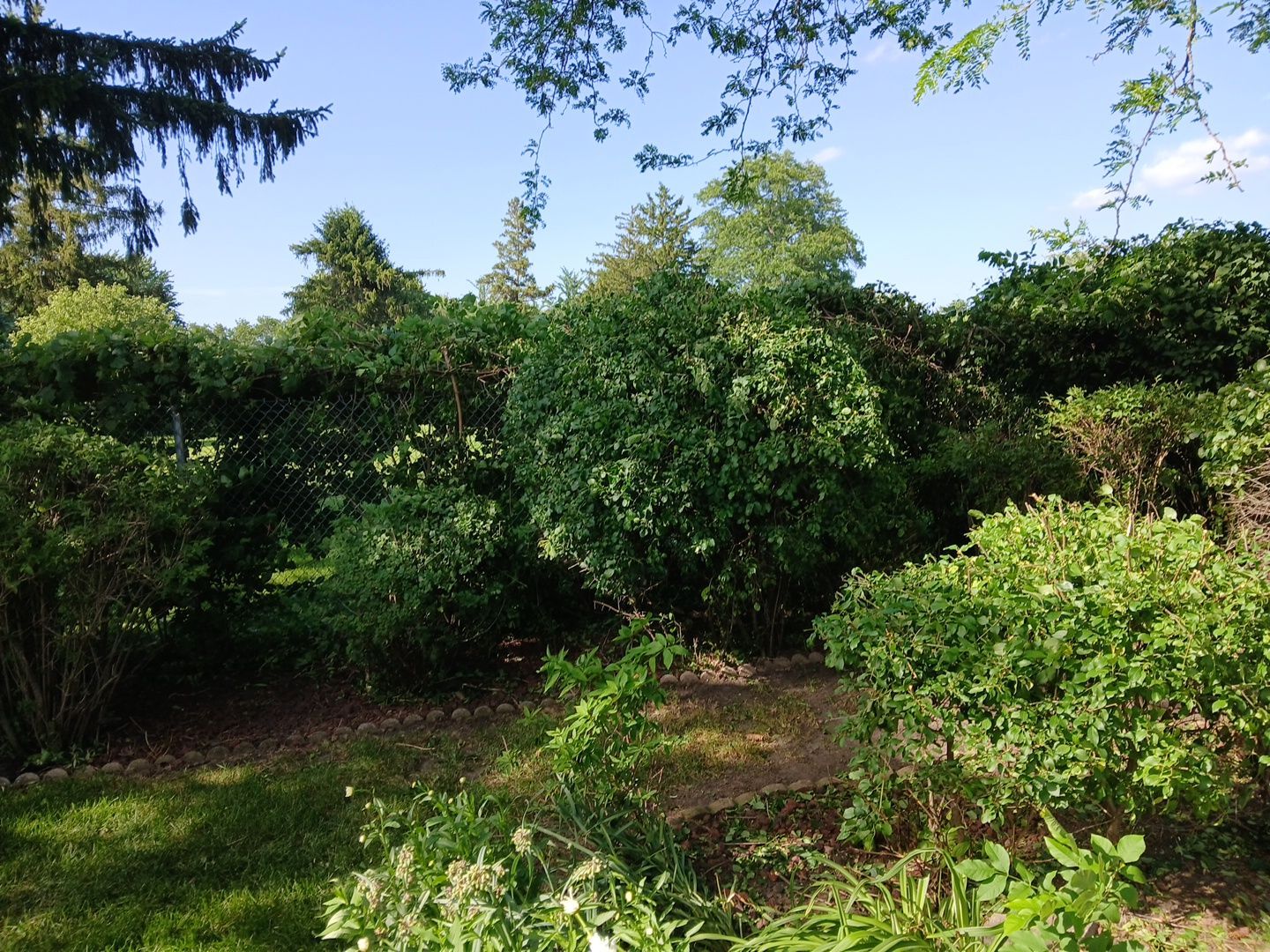 Andrew L. - Arlington Heights, IL by A&N