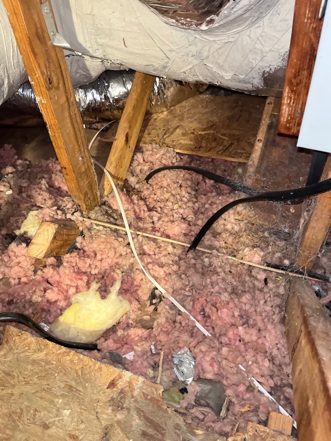 Insulation Removal by EAS Environmental, LLC.