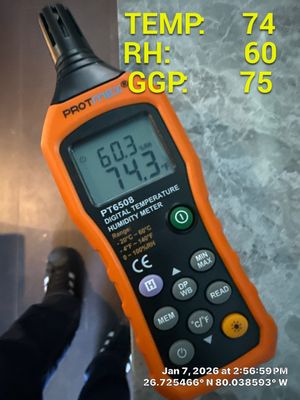 mold test