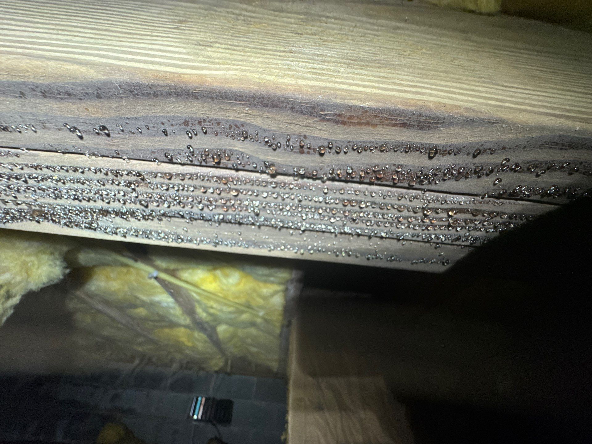 Project in Suffolk by Patriot Crawl Space Repairs