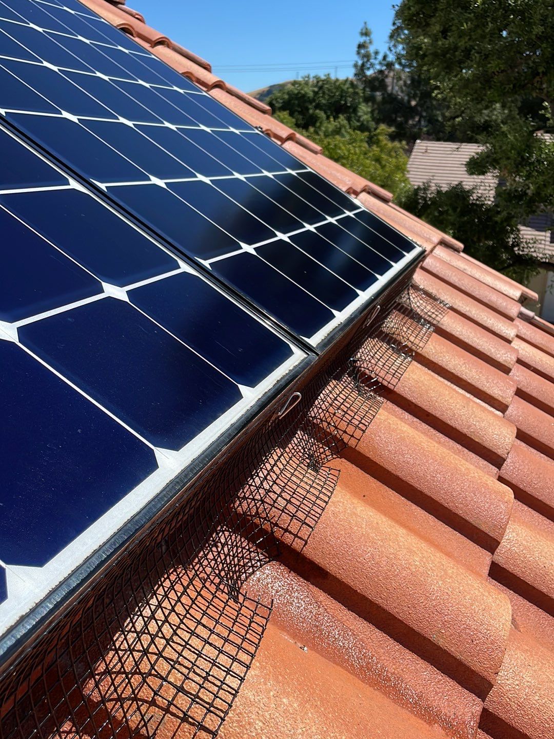 Solar Panel Bird Proofing using Critter Guard Mesh by All One Solar Shine
