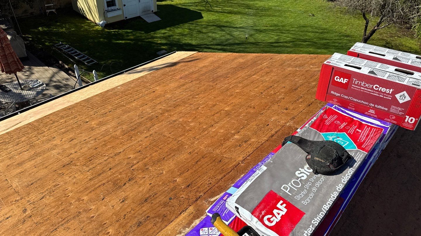 Willa Holmstock by NuLead Construction Inc