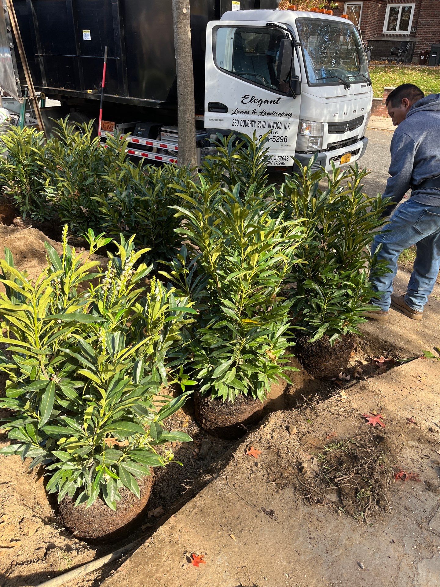 Landscape Design by elegant Lawns