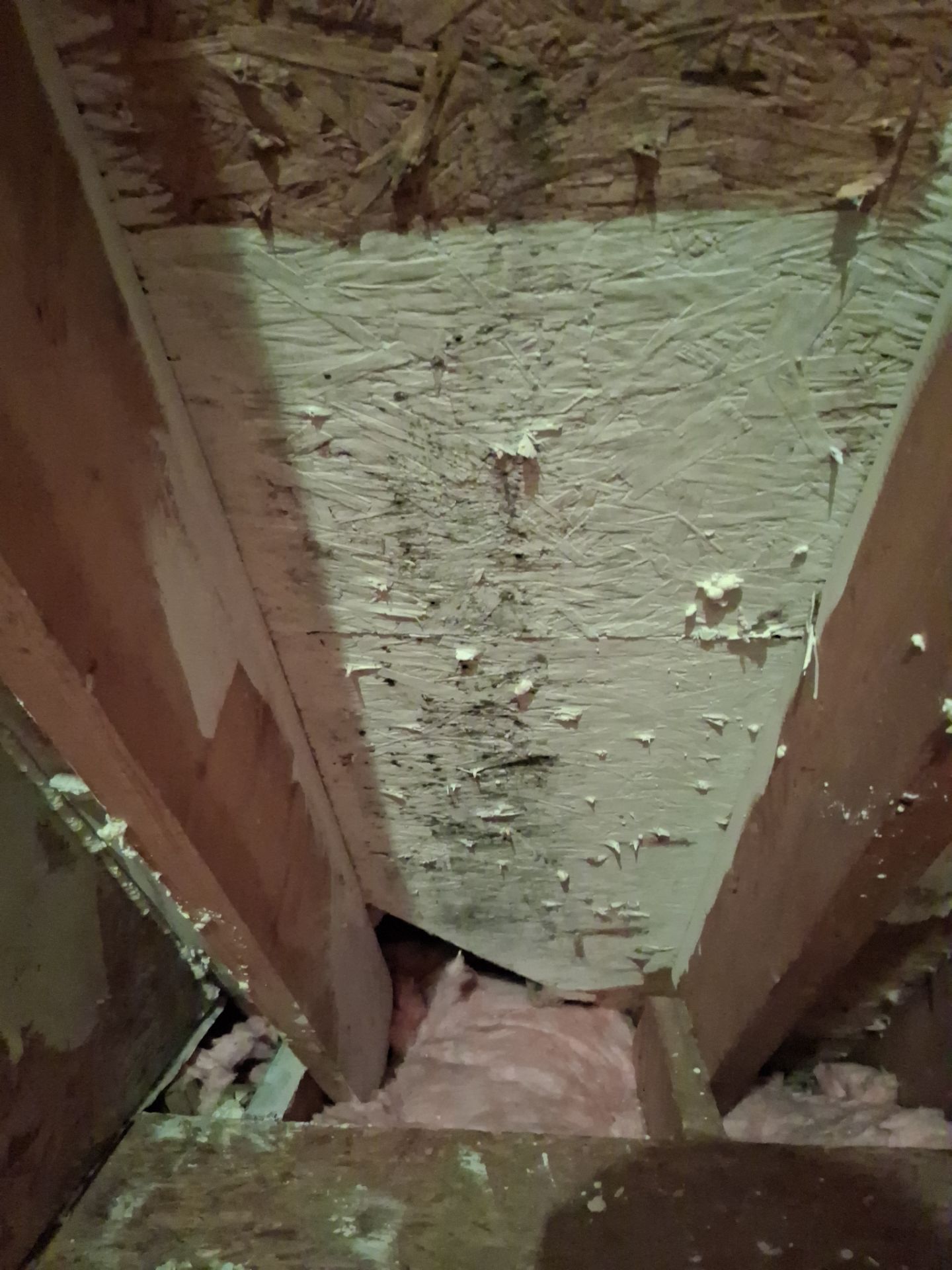 Attic Insulation and Repair by Toledo Basement Repair