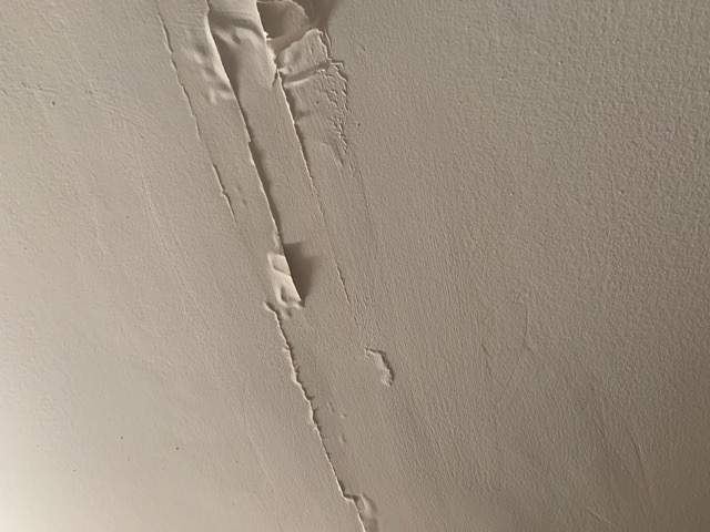 Ceiling & Shower Repair by A1 NERDY HOMES LLC