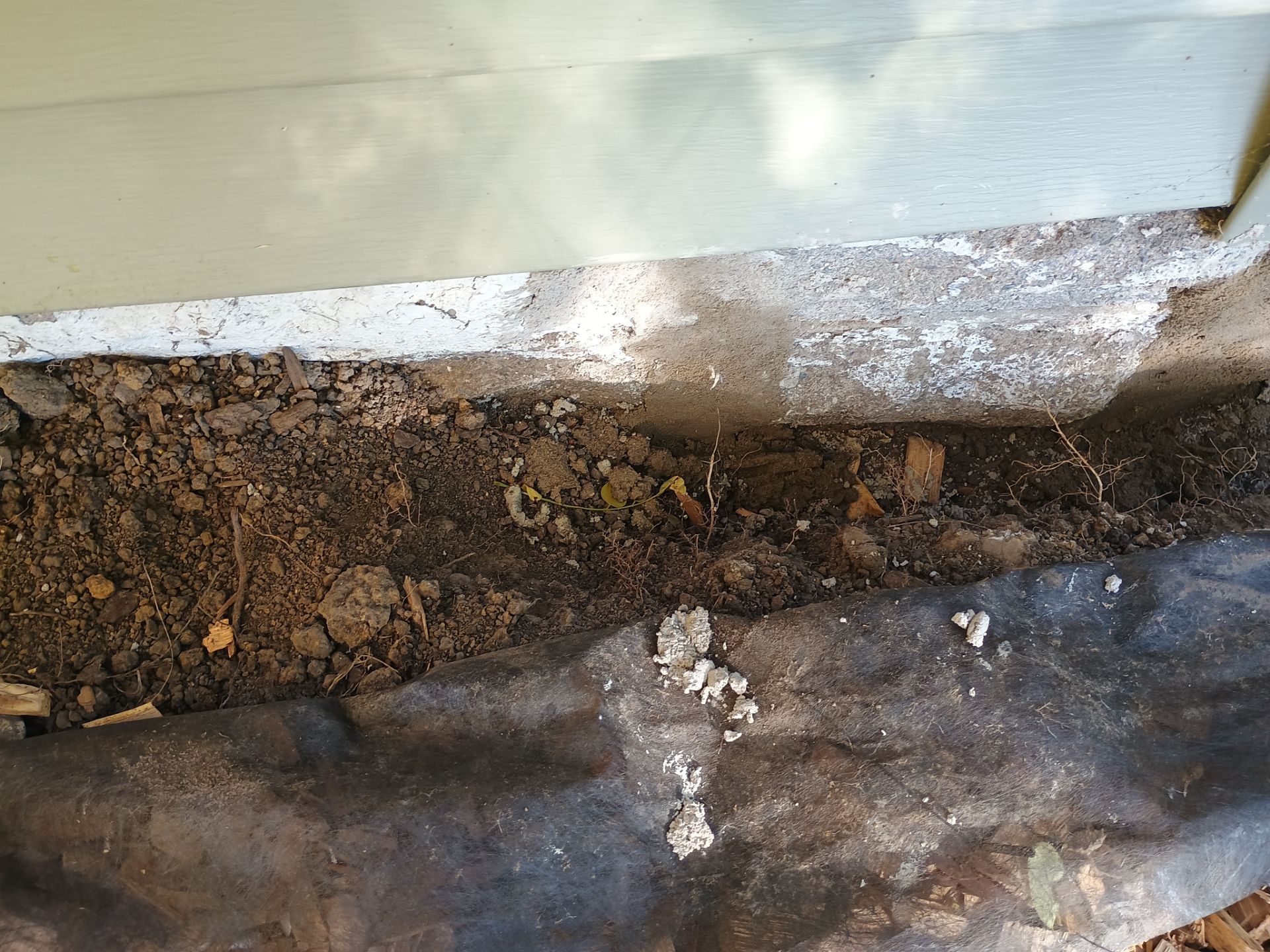 A French Drain for Maya by Waterproofing Northeast