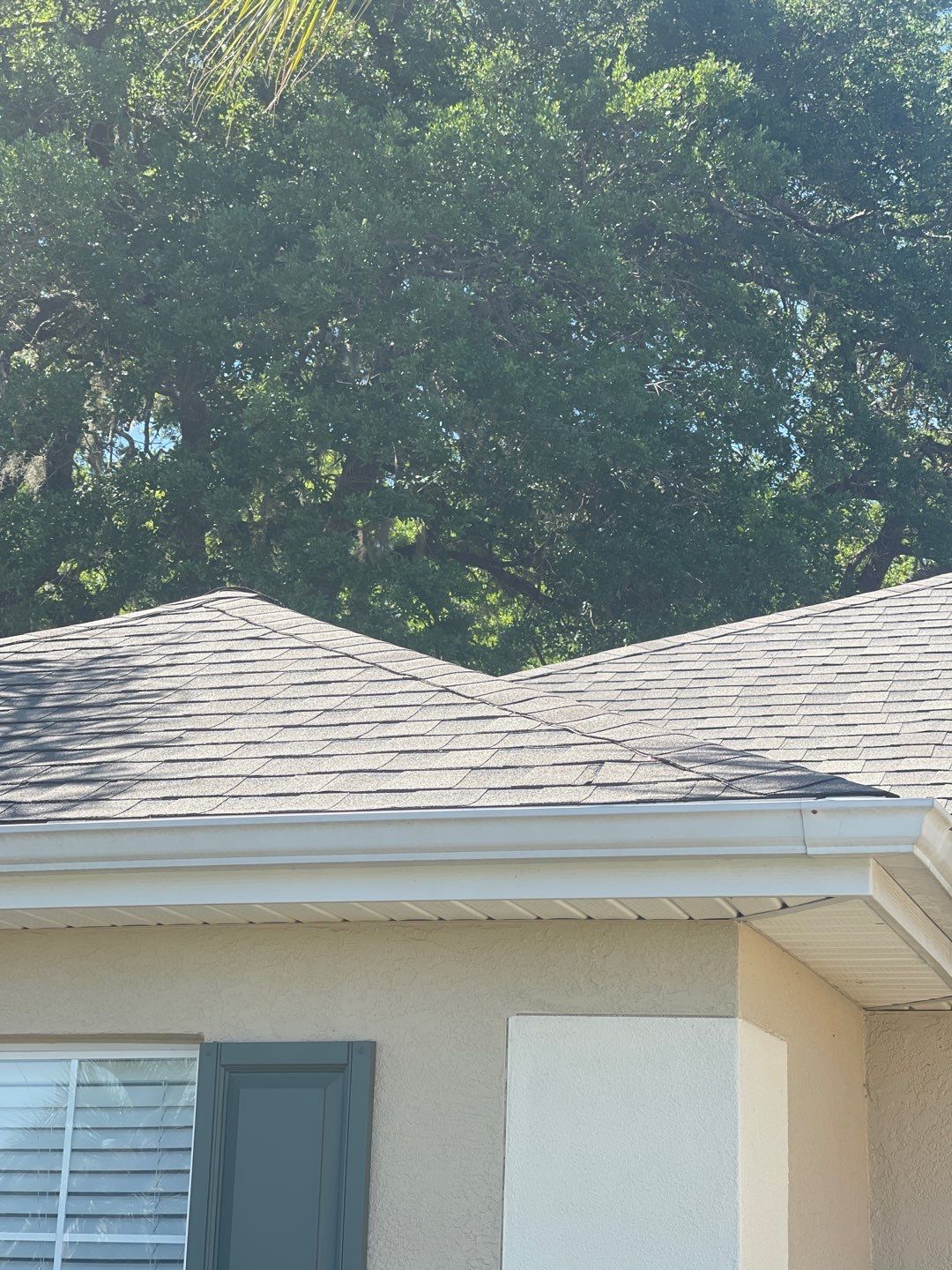 Shingle Reroof Replacement Summerfield FL by Pinnacle Roofing Group