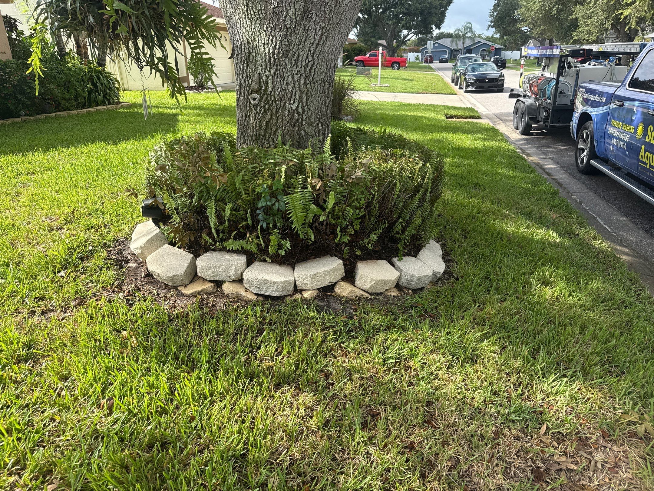 🏡 Another happy repeat customer! by Sunshine AquaWash