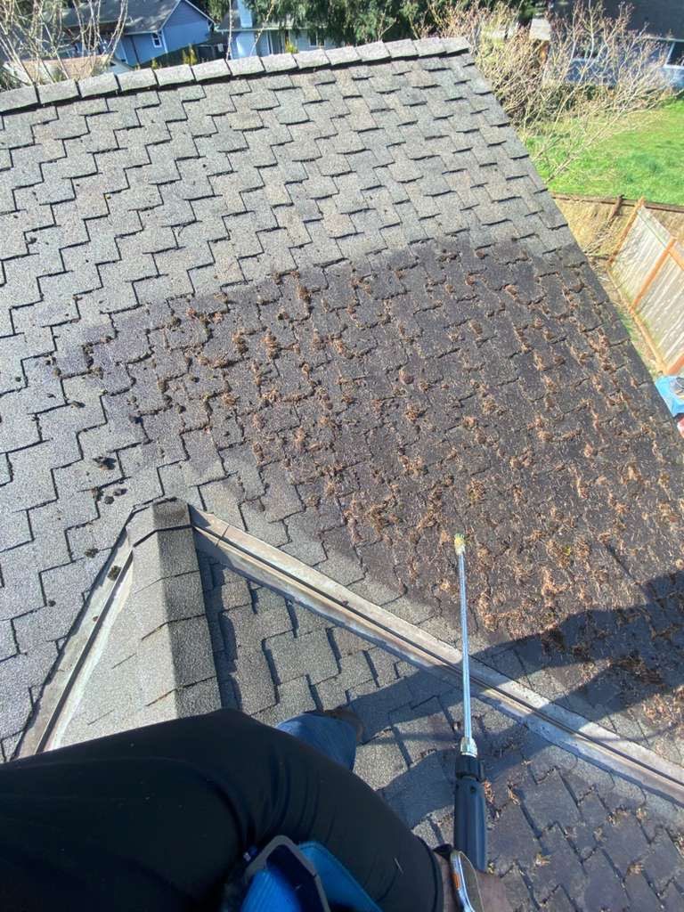 Roof Cleaning – Everett, WA by Everpro Construction