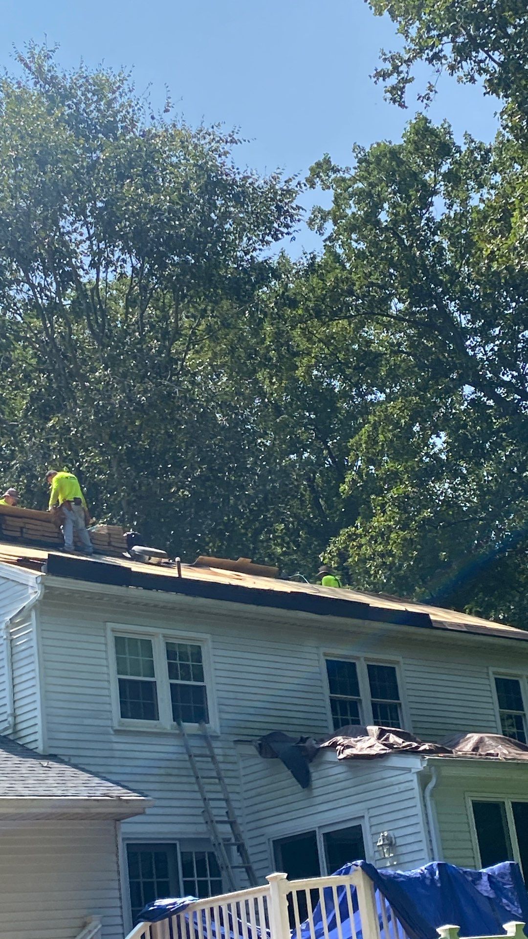 Oakton: Residential Roof Replacement with CertainTeed Landmark Designer Shingles in Pewter by RM Banning, Inc.
